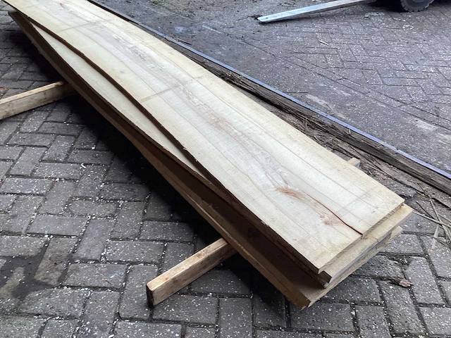 Beuk - kd ovengedroogd - schaaldeel (6x) - afbeelding 5 van  9