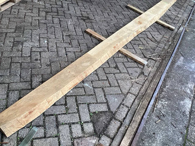 Beuk - kd ovengedroogd - schaaldeel - afbeelding 3 van  6