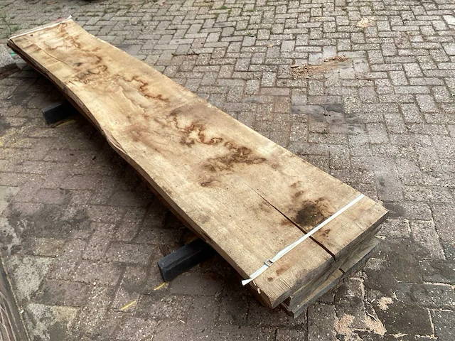 Beuk - kd ovengedroogd 3180 x 530 x 220 mm - schaaldeel (5x) - afbeelding 5 van  6