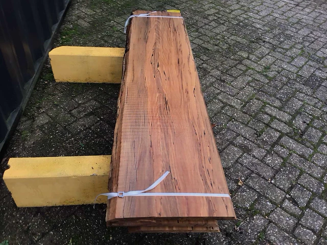 Beuk (3x) - afbeelding 4 van  8