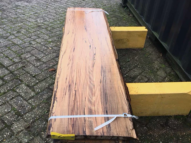 Beuk (3x) - afbeelding 8 van  8