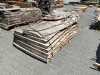 Beuken europees schaaldelen (9x) - afbeelding 1 van  5