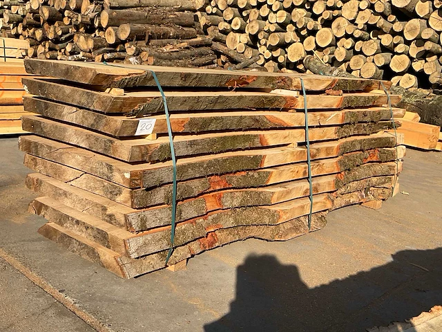Beuken stam 58 mm ca. 0,900 m³ - afbeelding 1 van  5
