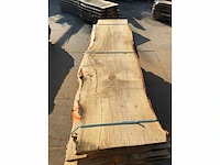 Beuken stam 58 mm ca. 0,900 m³ - afbeelding 5 van  5