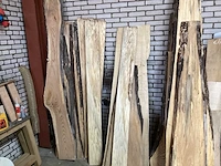 Beuken,essen amerikaans eiken diverse schaaldelen van diverse houtsoorten - afbeelding 4 van  4
