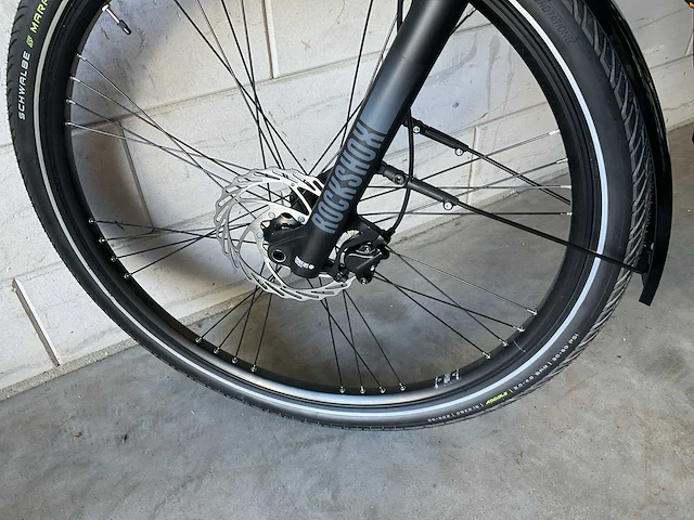 Bianchi e-omnia t-type nexus 5 bosch 625wh elektrische fiets - afbeelding 9 van  12
