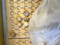 Bingomolen compleet - afbeelding 7 van  11