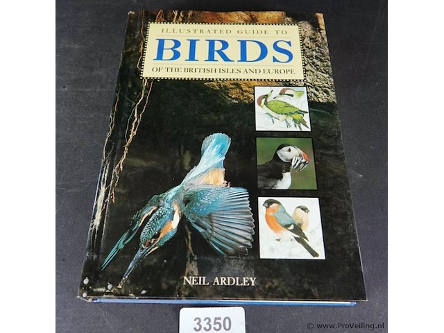 Birds - afbeelding 1 van  5