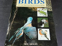 Birds - afbeelding 1 van  5