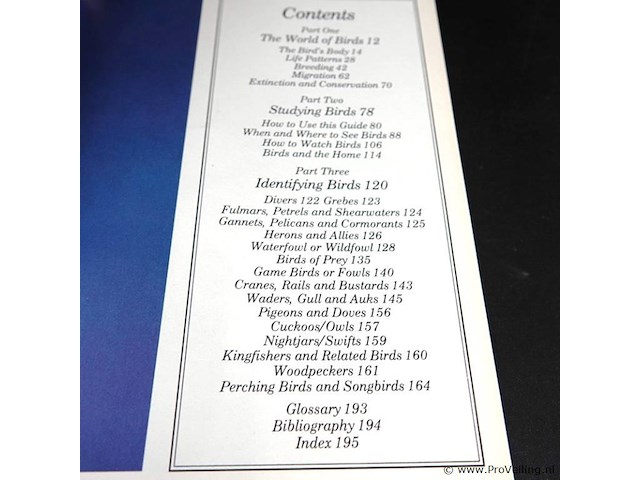 Birds - afbeelding 3 van  5