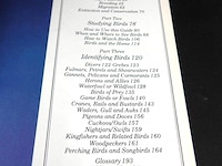 Birds - afbeelding 3 van  5