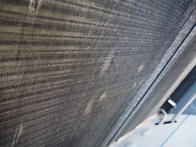 Bitzer - afbeelding 10 van  13