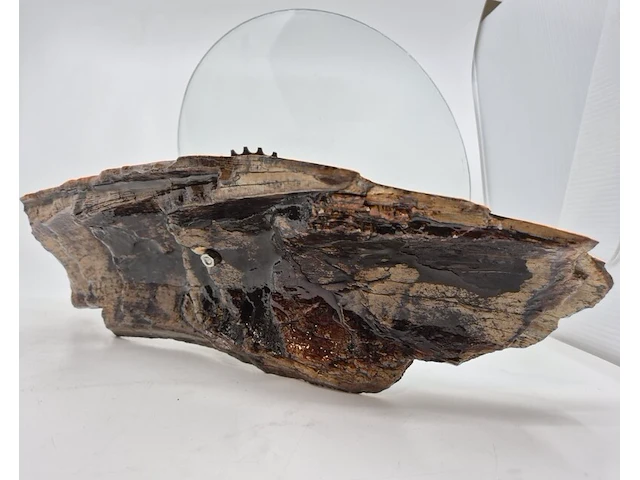 Bizarre fruitschaal / designobject – fossiel vs shimano - afbeelding 4 van  7