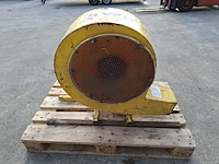 Bladblazer, talant - afbeelding 3 van  7