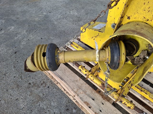 Bladblazer, talant - afbeelding 5 van  7