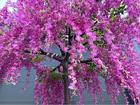 Blauwe regen kunstboom - afbeelding 7 van  11