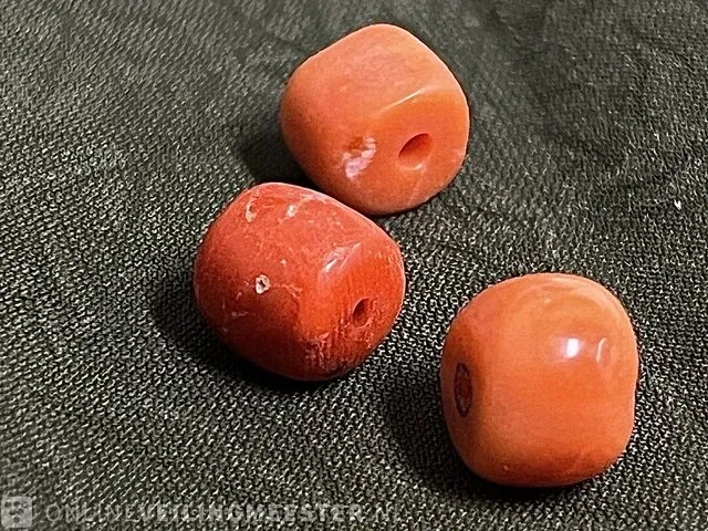 Bloedkoraal - echte natuurlijke bloedkoralen - afbeelding 1 van  1