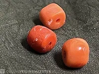 Bloedkoraal - echte natuurlijke bloedkoralen - afbeelding 1 van  1