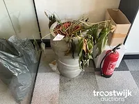 Bloempot - afbeelding 1 van  3