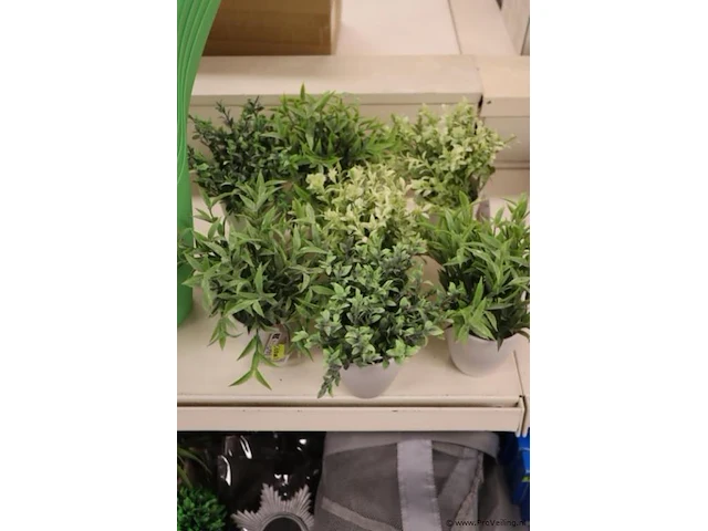 Bloempotten, plantengieters & kunstplantjes - afbeelding 2 van  5