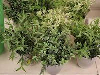 Bloempotten, plantengieters & kunstplantjes - afbeelding 2 van  5