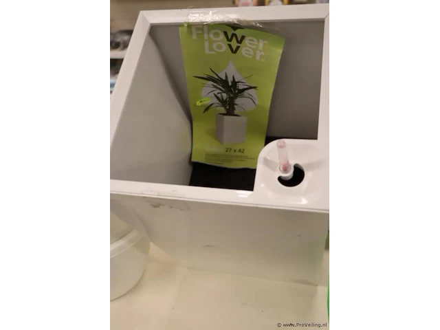 Bloempotten, plantengieters & kunstplantjes - afbeelding 4 van  5