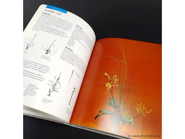 Bloemsierkunst - afbeelding 5 van  5