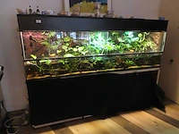 Blue lagoon - paludarium