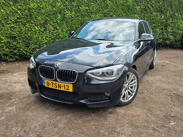 Bmw - 2014 - 1-serie - 116i executive - 8-tsn-12 - afbeelding 12 van  19