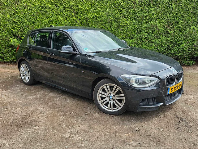 Bmw - 2014 - 1-serie - 116i executive - 8-tsn-12 - afbeelding 14 van  19
