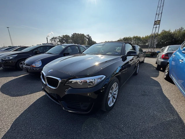 Bmw 2 cabriolet 220i, 2016 - afbeelding 1 van  38