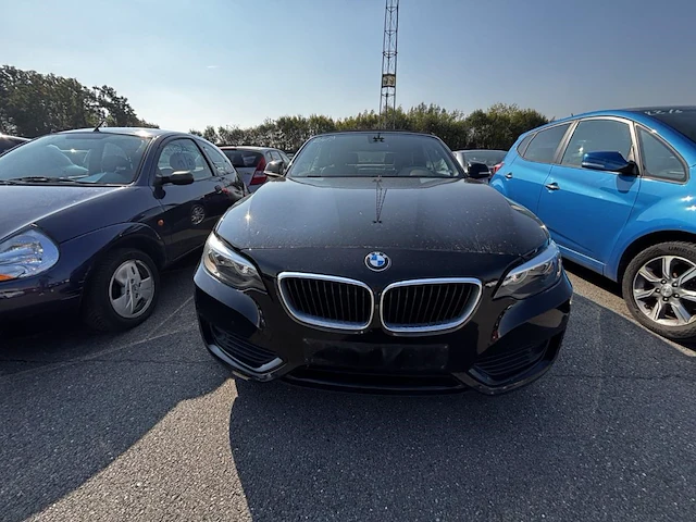 Bmw 2 cabriolet 220i, 2016 - afbeelding 2 van  38