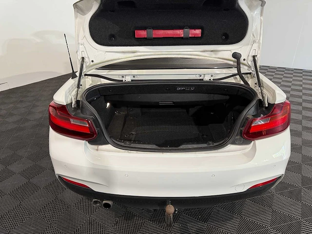 Bmw 2-serie cabrio 228i executive, 4-ztn-34 - afbeelding 12 van  17
