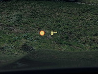 Bmw x5 xdrive45e high executive 2020 - afbeelding 6 van  29