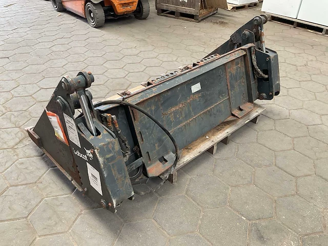 Bobcat rotsbak - afbeelding 3 van  6