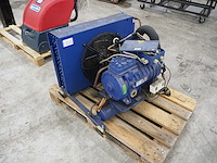 Bock - afbeelding 1 van  7