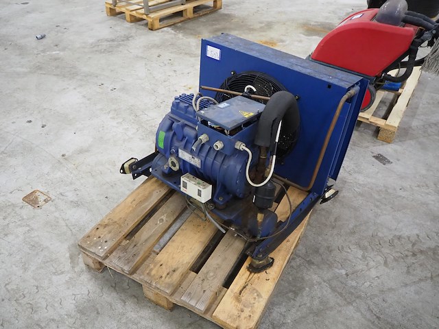 Bock - afbeelding 2 van  7