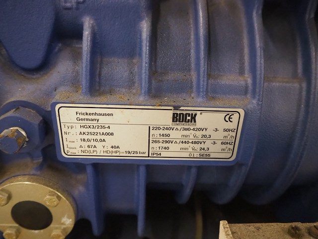 Bock - afbeelding 5 van  7