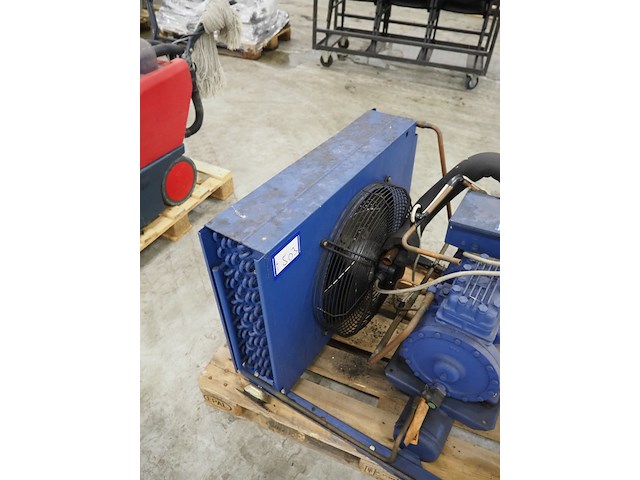 Bock - afbeelding 6 van  7