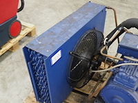 Bock - afbeelding 6 van  7