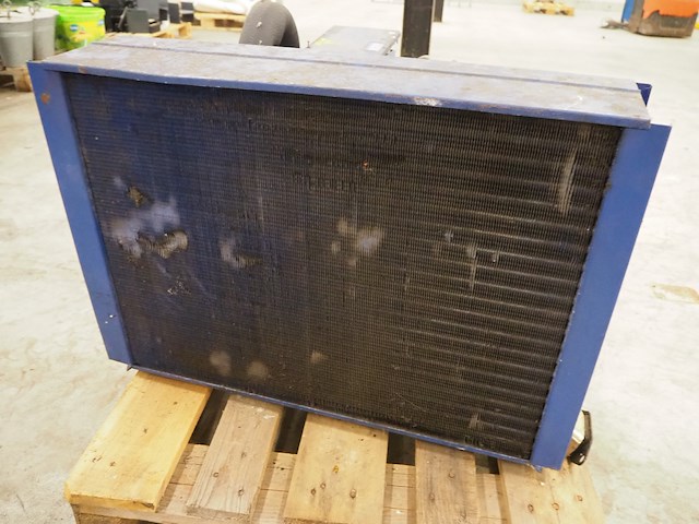 Bock - afbeelding 7 van  7