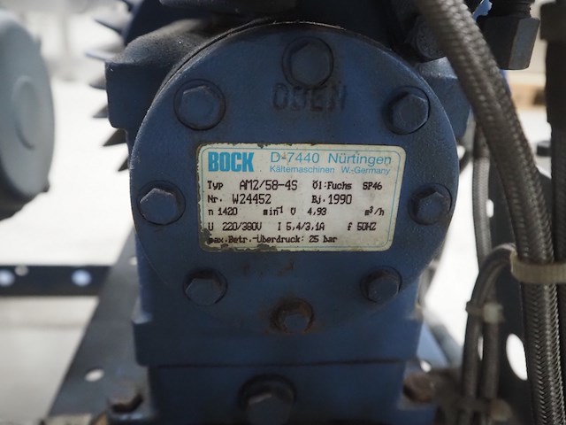 Bock - afbeelding 3 van  11