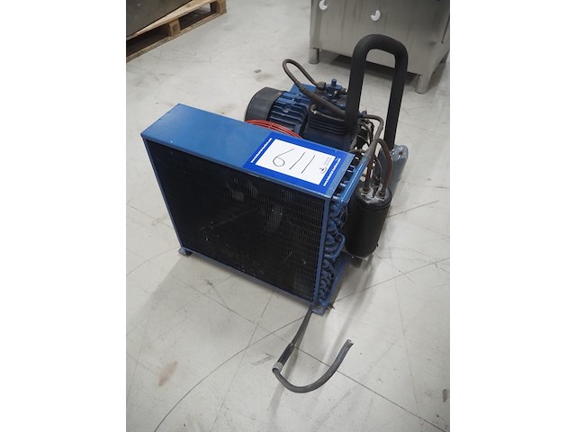 Bock - afbeelding 5 van  11