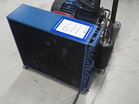 Bock - afbeelding 5 van  11