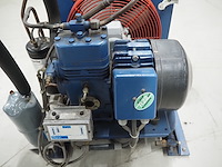 Bock - afbeelding 7 van  11