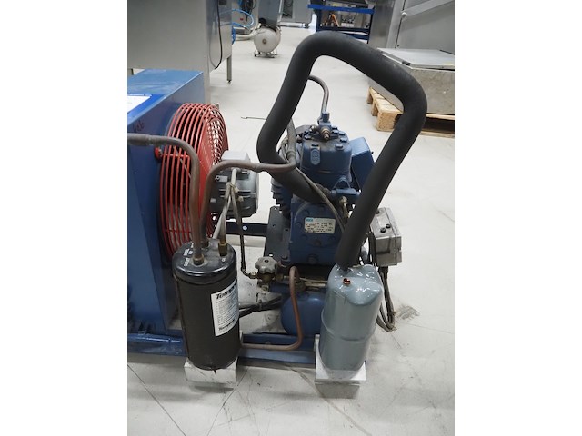 Bock - afbeelding 8 van  11