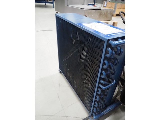 Bock - afbeelding 9 van  11