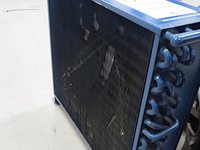 Bock - afbeelding 9 van  11