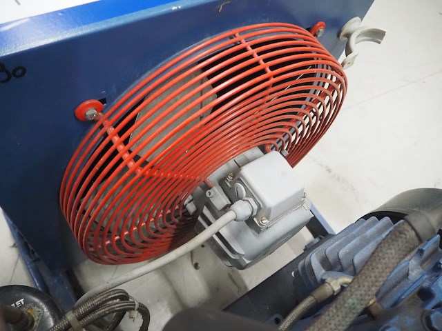 Bock - afbeelding 10 van  11