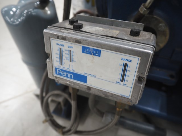 Bock - afbeelding 11 van  11